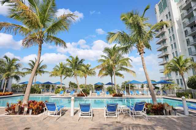 view of swimming pool featuring a patio area