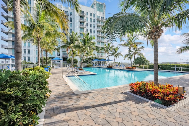 view of swimming pool featuring a patio area