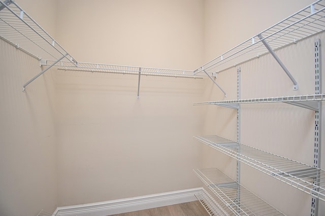 spacious closet with wood-type flooring