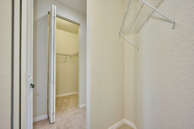 spacious closet featuring light colored carpet