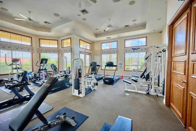 workout area featuring ceiling fan, a healthy amount of sunlight, and a tray ceiling