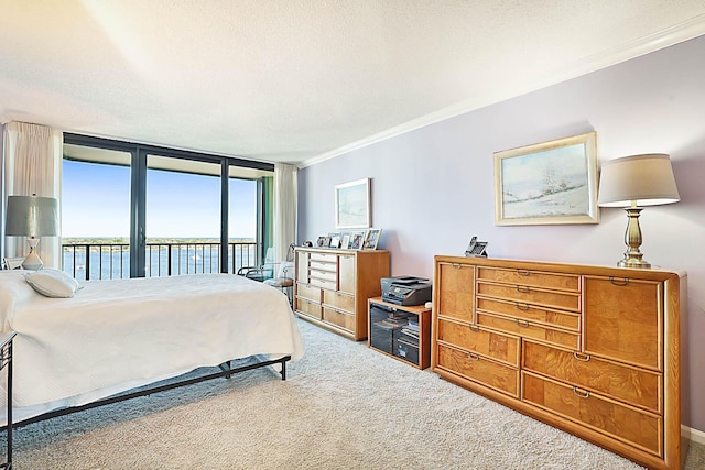 bedroom with access to exterior, expansive windows, ornamental molding, a textured ceiling, and a water view