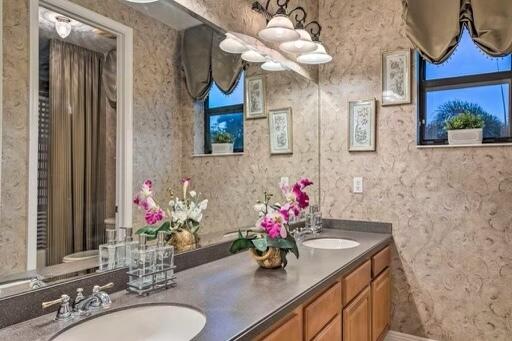 bathroom with vanity