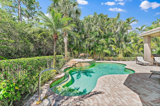 view of pool featuring a patio area