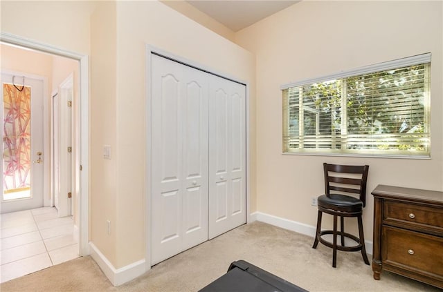 interior space featuring a healthy amount of sunlight and light carpet