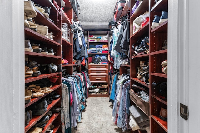 walk in closet featuring carpet