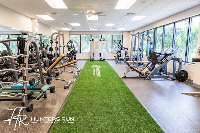 workout area with a drop ceiling and ceiling fan