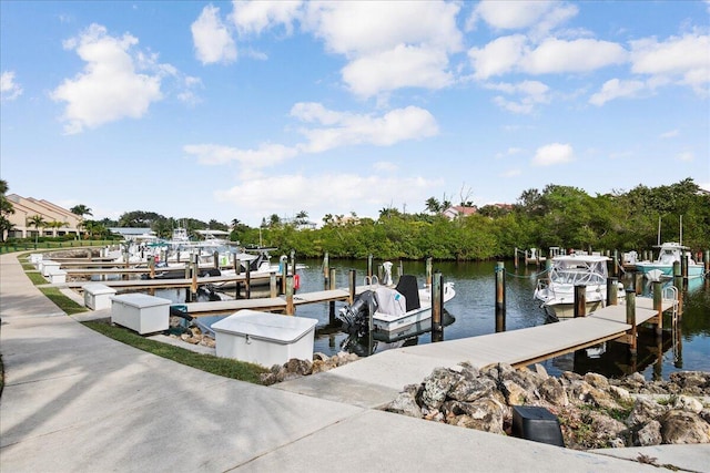 dock area with a water view