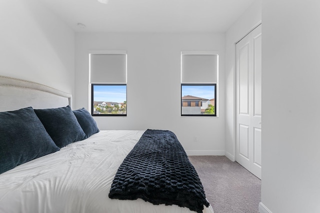 bedroom featuring carpet flooring and multiple windows