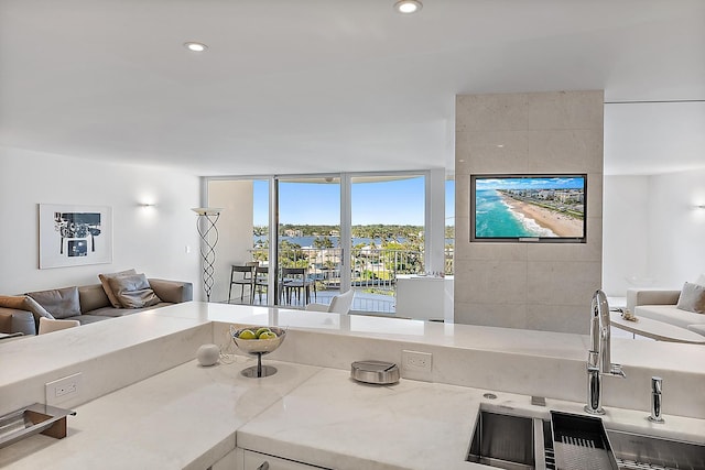 living room featuring sink