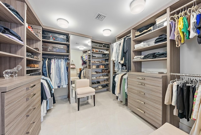 view of spacious closet