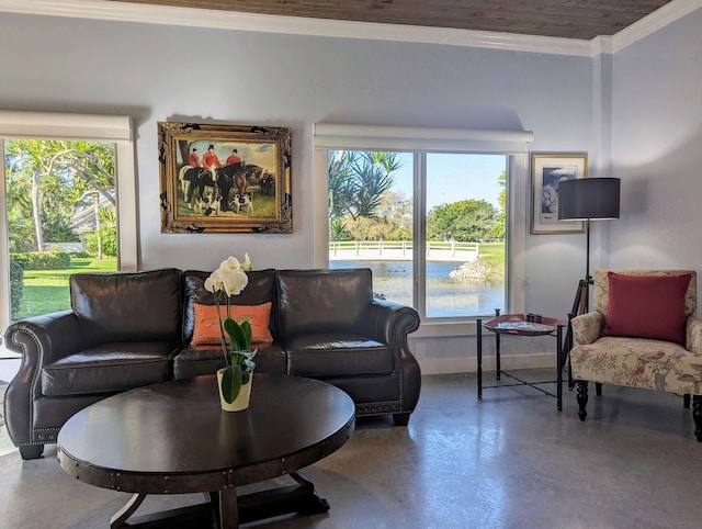 living room with concrete flooring, crown molding, and a wealth of natural light