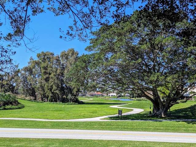 view of home's community with a yard