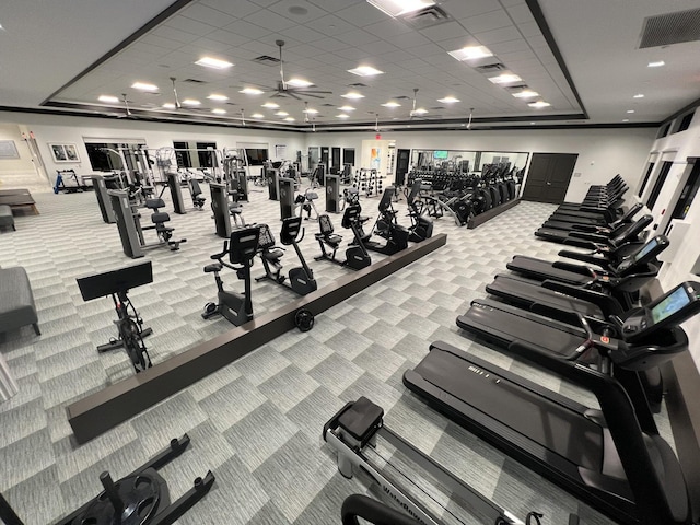 gym with a paneled ceiling, ceiling fan, and carpet floors