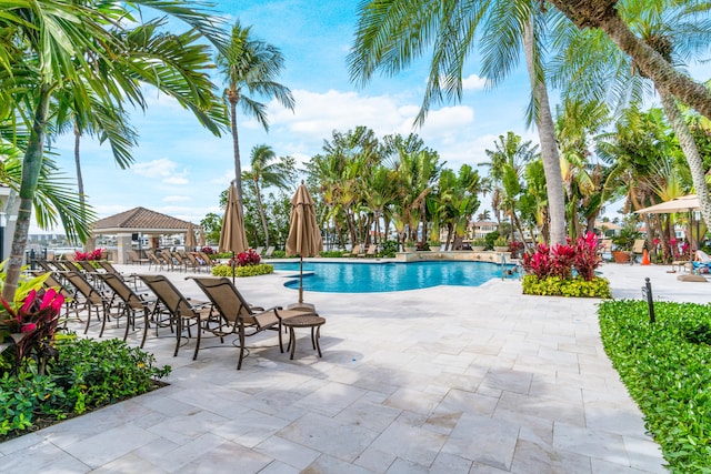 view of swimming pool with a patio