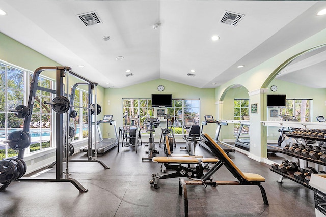 exercise room with lofted ceiling and a wealth of natural light