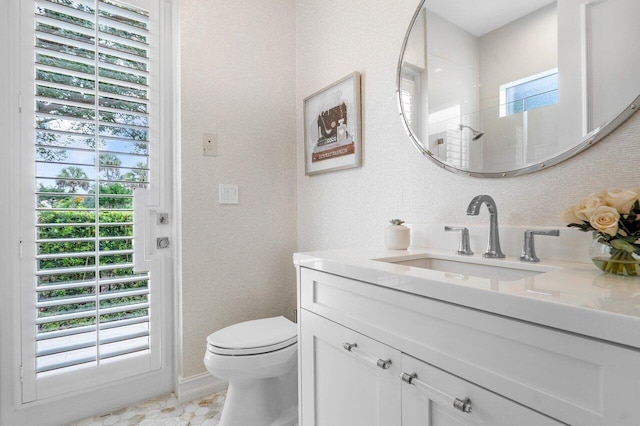 bathroom featuring a shower, vanity, and toilet