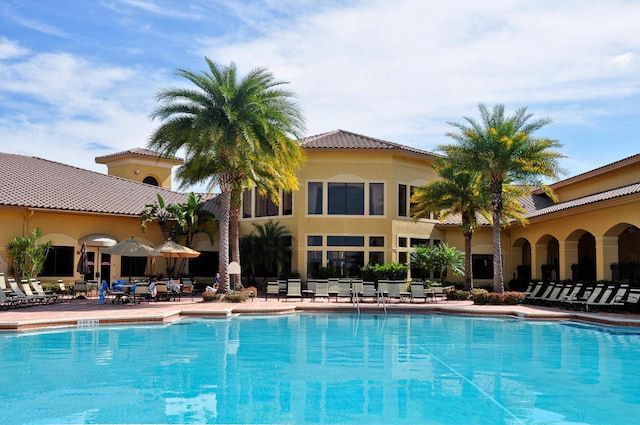 view of swimming pool with a patio area