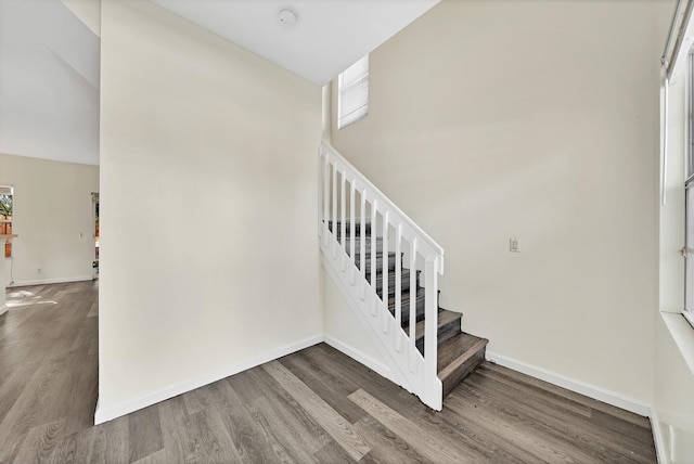 staircase with hardwood / wood-style floors