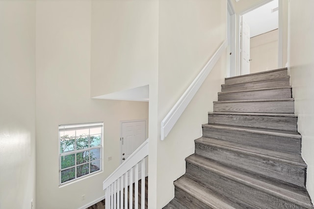 stairs with hardwood / wood-style flooring