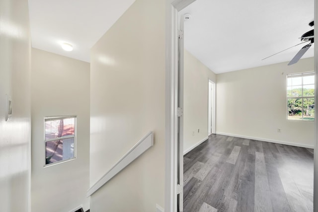 hallway with a wealth of natural light and hardwood / wood-style floors