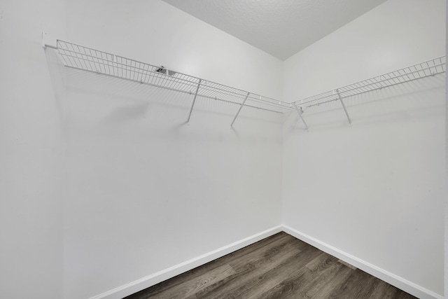 walk in closet featuring hardwood / wood-style floors