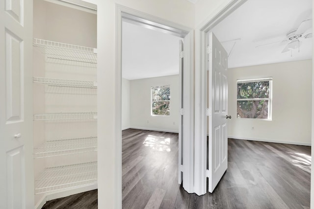 hallway featuring dark hardwood / wood-style floors