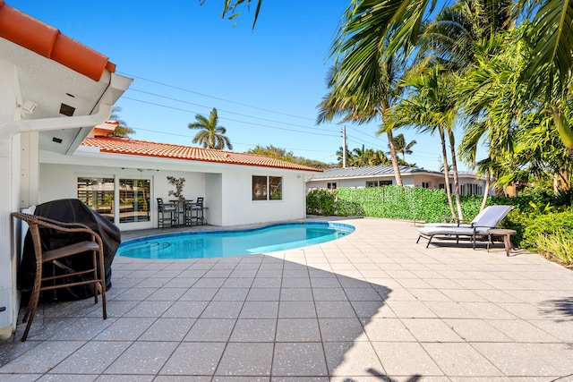 view of swimming pool featuring a patio area