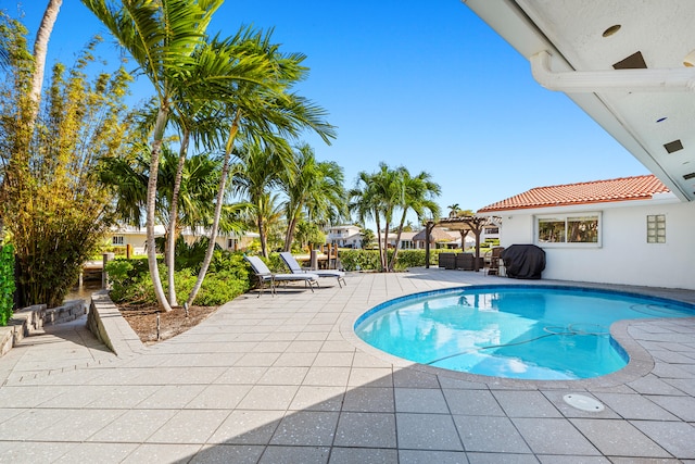 view of pool with area for grilling and a patio