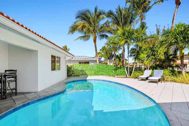 view of pool with a patio area