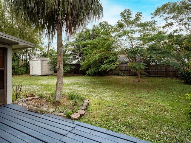 view of yard featuring a storage shed