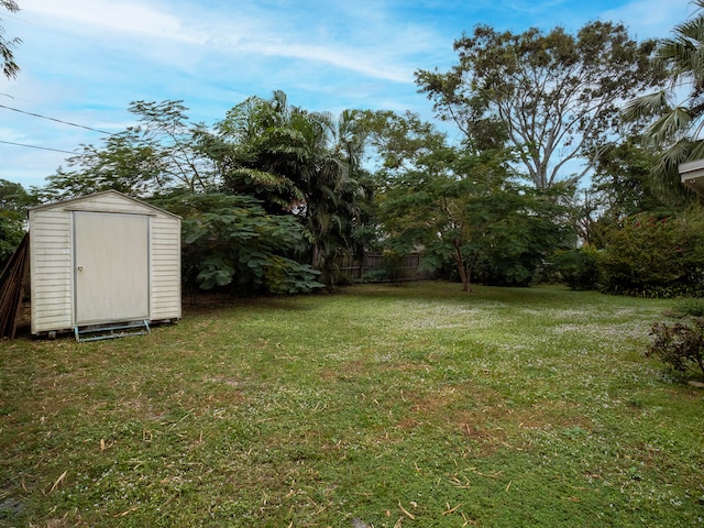 view of yard with a storage unit