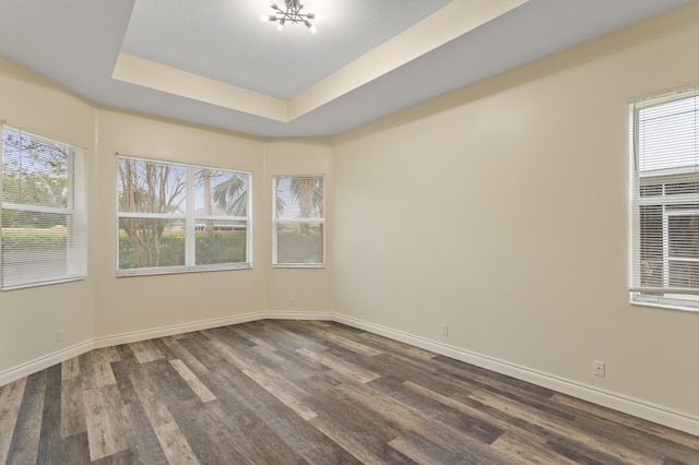 spare room featuring a raised ceiling, a wealth of natural light, and dark wood-type flooring