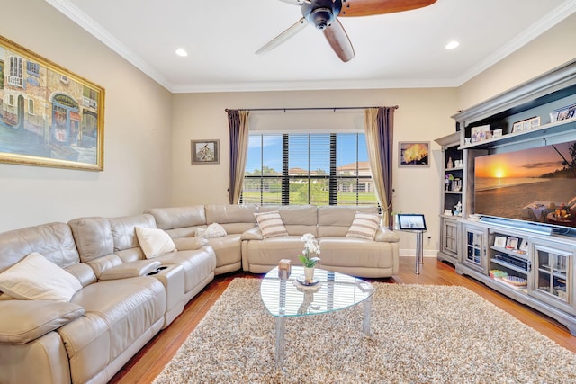 living room with ceiling fan, ornamental molding, and light wood-type flooring