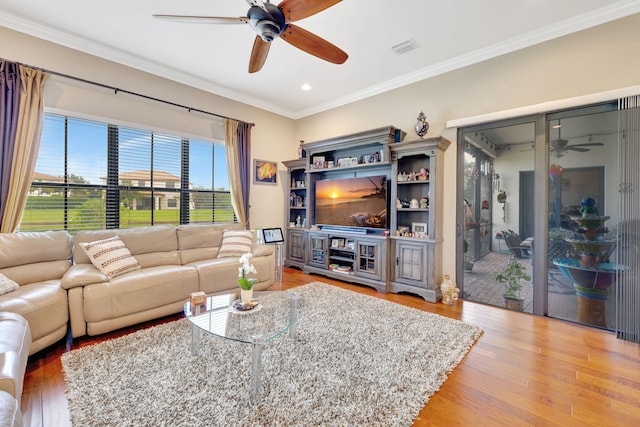 living room with hardwood / wood-style floors, ceiling fan, and ornamental molding