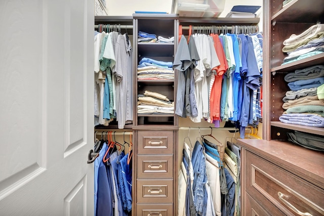 view of spacious closet