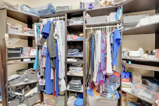 view of walk in closet