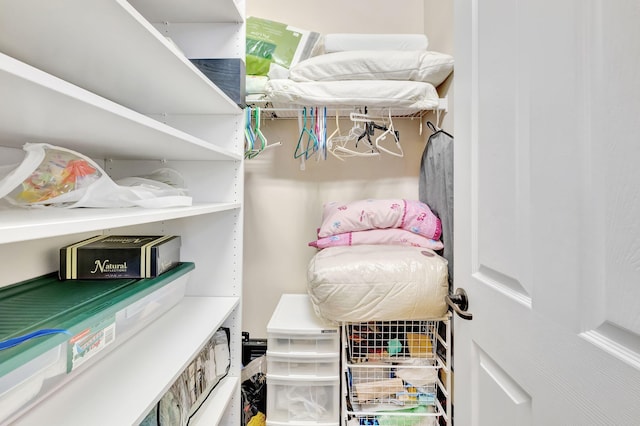 view of walk in closet