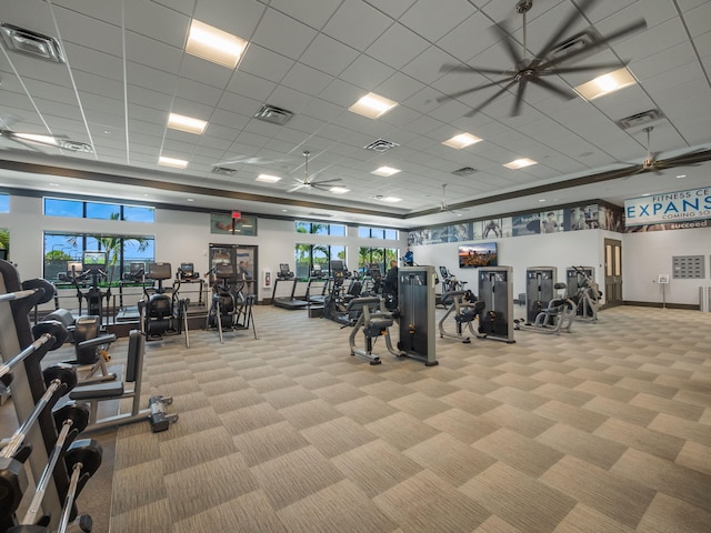 workout area featuring light carpet, a drop ceiling, and ceiling fan