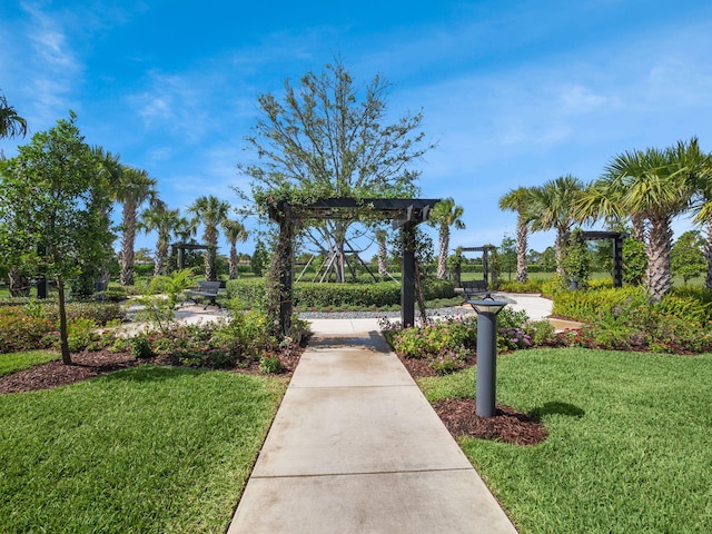 view of community with a yard