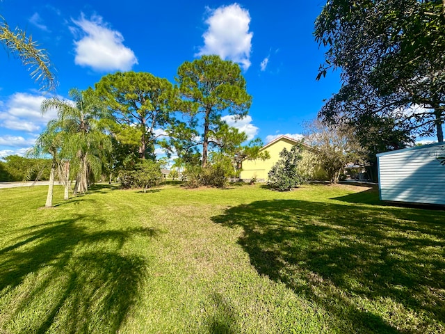 view of yard