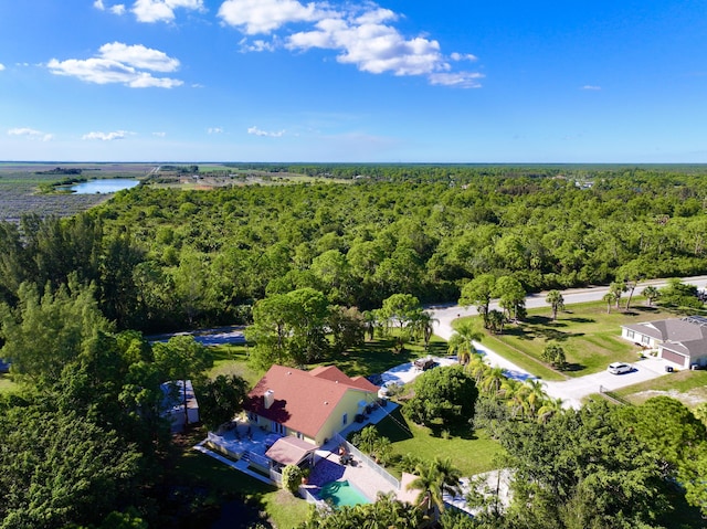 17976 88th Rd N, Loxahatchee, FL 33470 - aerial view of a forest and a large body of water