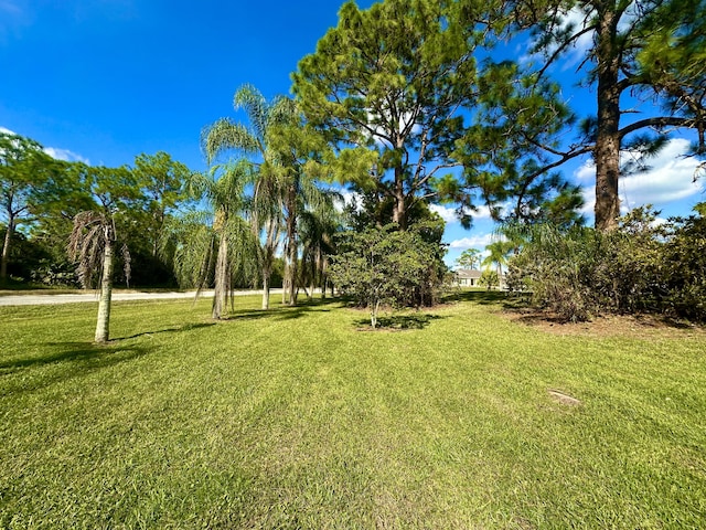 17976 88th Rd N, Loxahatchee, FL 33470 - view of grassy yard
