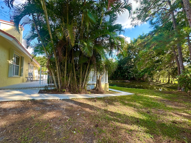 view of yard featuring a patio area