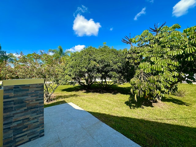 view of yard with a patio area