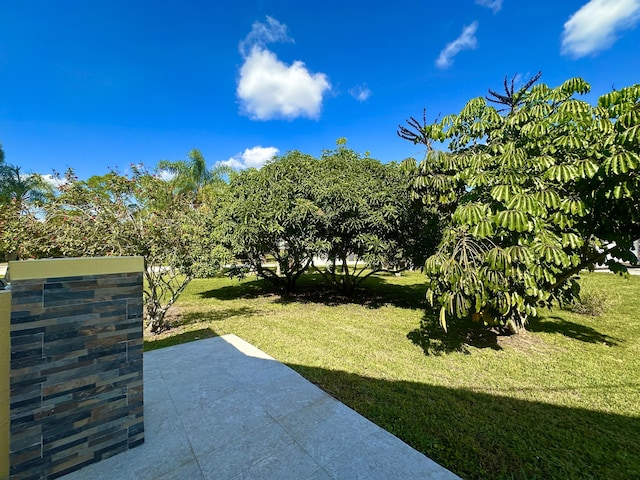 17976 88th Rd N, Loxahatchee, FL 33470 - view of grassy yard featuring a patio