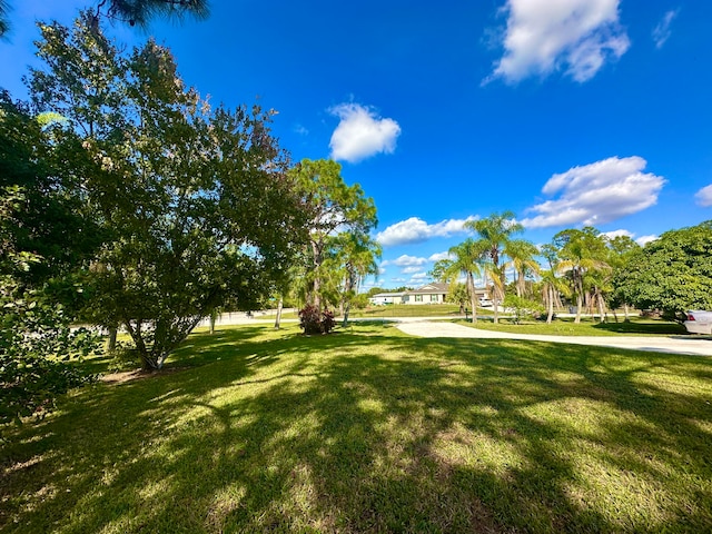 view of yard