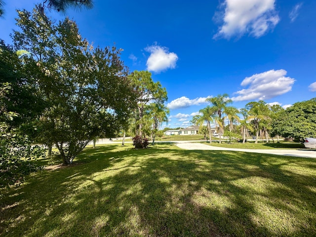 17976 88th Rd N, Loxahatchee, FL 33470 - view of grassy yard