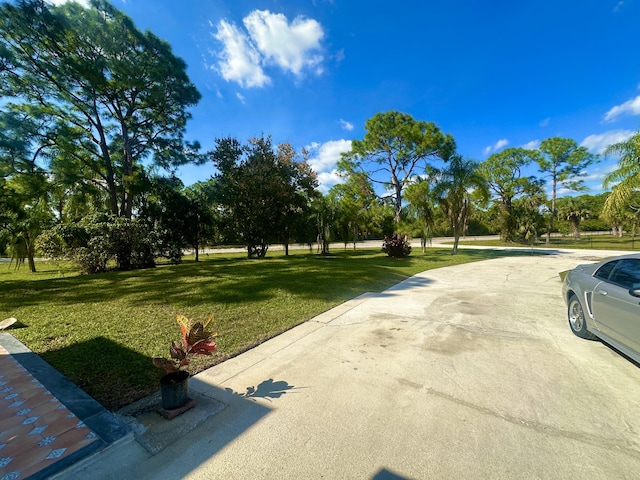 17976 88th Rd N, Loxahatchee, FL 33470 - view of road featuring view of scattered trees