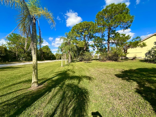 17976 88th Rd N, Loxahatchee, FL 33470 - view of grassy yard